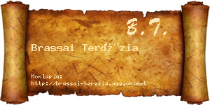 Brassai Terézia névjegykártya
